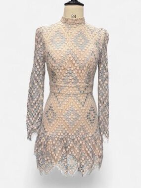foxiedox Blush and Gray High-Neck Lace Long Sleeve Mini Dress